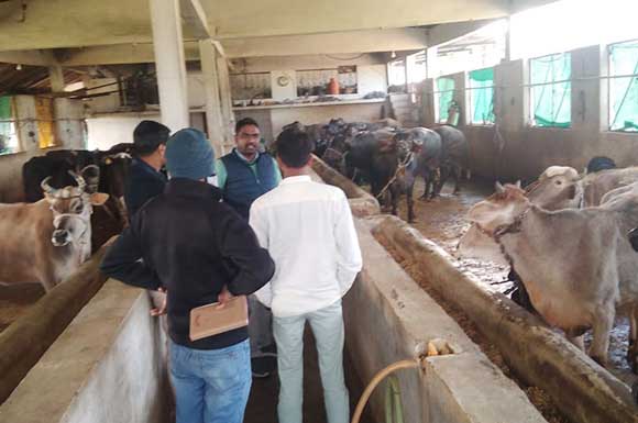 Farmer Connect photo 1