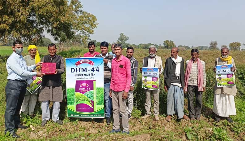 Farmer Connect photo 20
