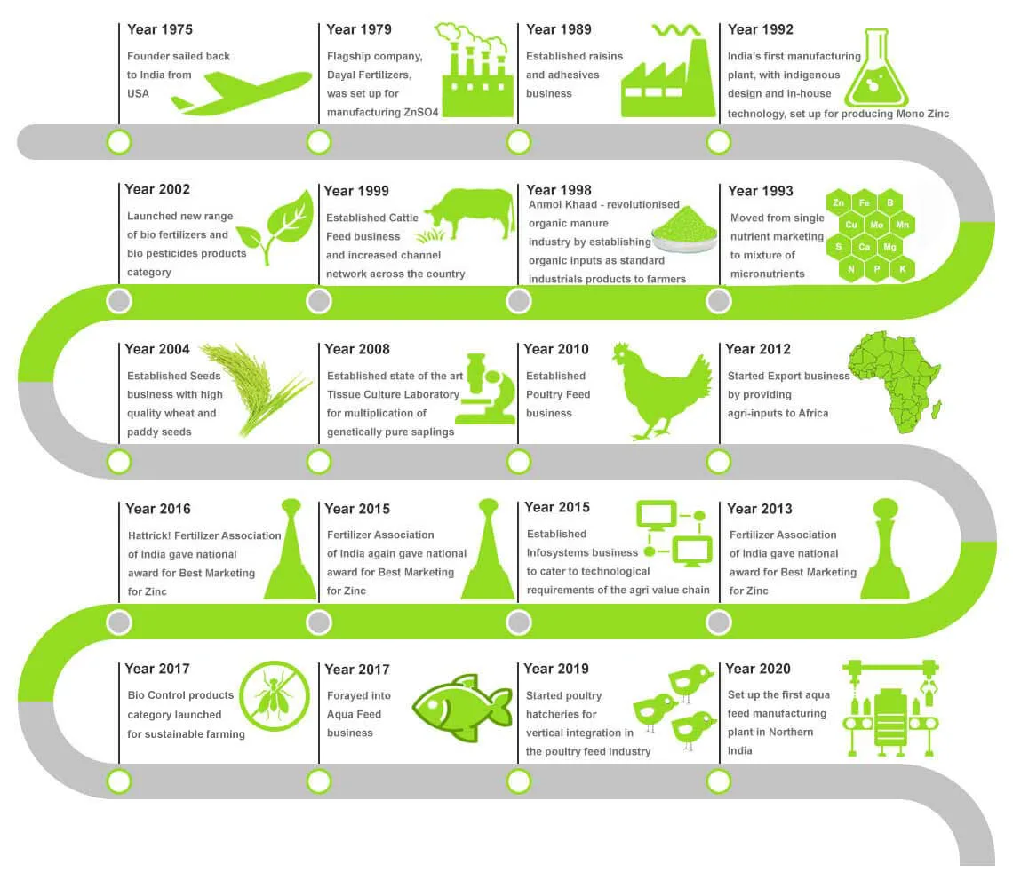 Dayal Group Milestones Timeline