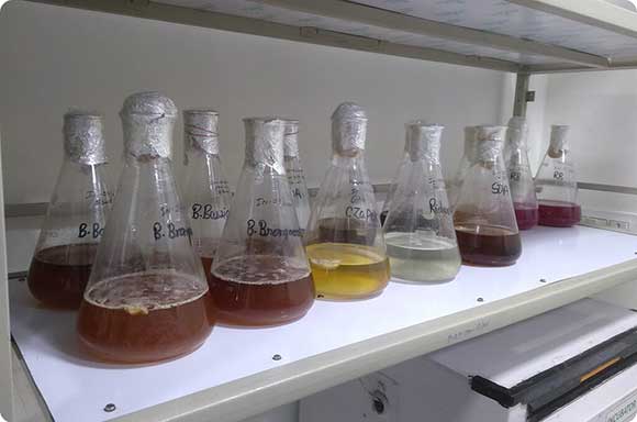 Research and Development photo 2
