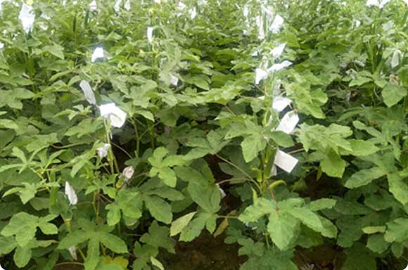 Research and Development photo 3