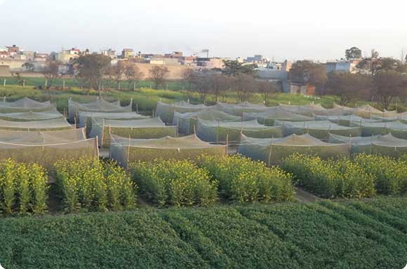 Research and Development photo 5